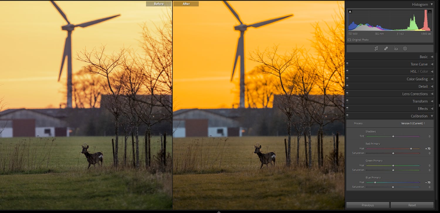 Billede af dådyr redigeret i billedbehandlingsprogram
